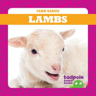 Book Lambs Tim Mayerling