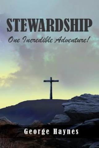 Kniha Stewardship George Haynes