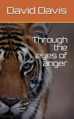 Kniha Through the Eyes of Anger David James Davis