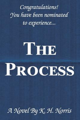 Knjiga The Process K H Norris