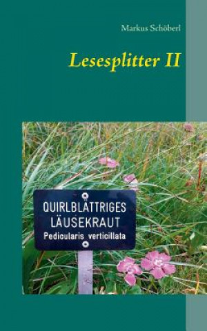 Knjiga Lesesplitter II Markus Schöberl