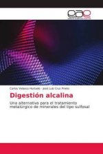 Könyv Digestion alcalina Carlos Velasco Hurtado