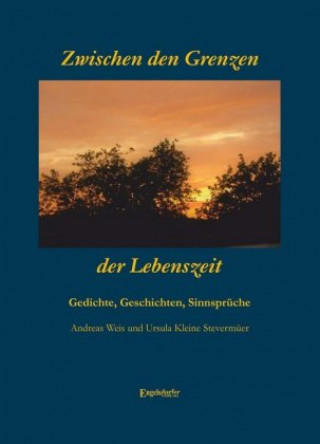 Kniha Zwischen den Grenzen der Lebenszeit Andreas Weis