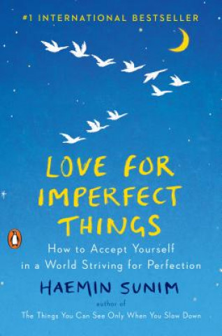 Kniha Love for Imperfect Things Hyemin