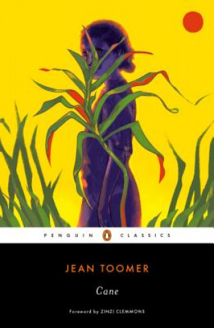 Kniha Cane Jean Toomer