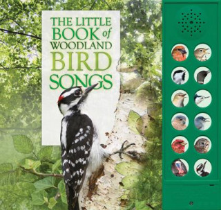 Kniha The Little Book of Woodland Bird Songs Andrea Pinnington