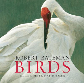 Könyv Birds Robert Bateman