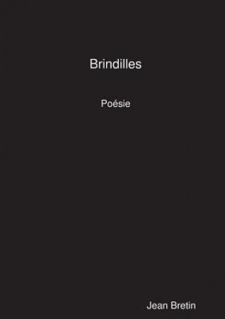 Książka Brindilles Jean Bretin