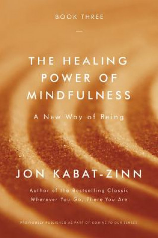 Könyv Healing Power of Mindfulness Jon Kabat-Zinn