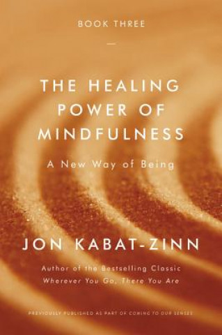 Kniha Healing Power of Mindfulness Jon Kabat-Zinn