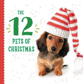 Carte Twelve Pets of Christmas Taylor Garland