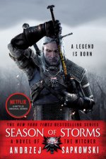 Könyv Season of Storms Andrzej Sapkowski