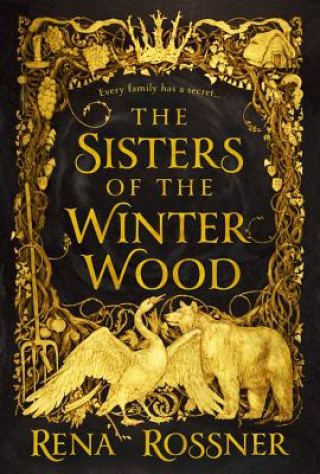 Kniha The Sisters of the Winter Wood Rena Rossner