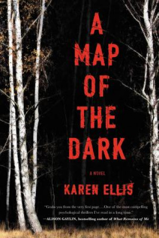 Könyv Map of the Dark Karen Ellis