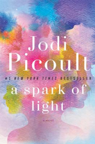Book Spark of Light Jodi Picoult