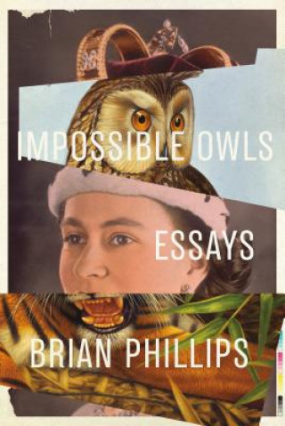 Buch Impossible Owls: Essays Brian Phillips