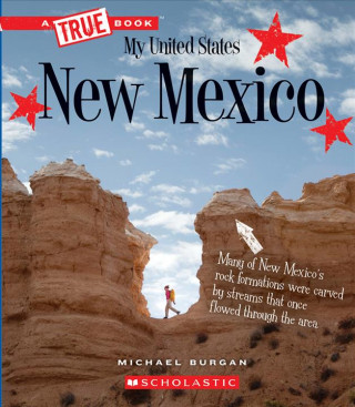 Kniha New Mexico (a True Book: My United States) (Library Edition) Burgan