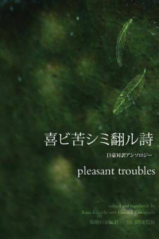 Kniha pleasant troubles Rina Kikuchi