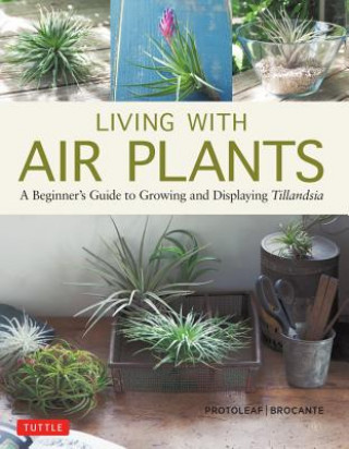 Kniha Living with Air Plants Yoshiharu Kashima