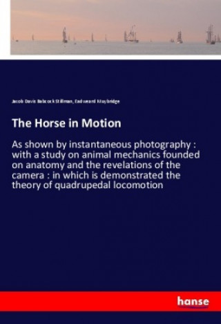 Könyv The Horse in Motion Jacob Davis Babcock Stillman