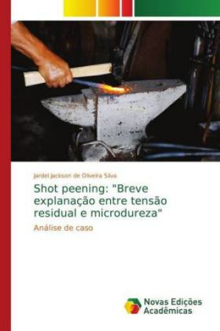 Kniha Shot peening Jardel Jackson de Oliveira Silva