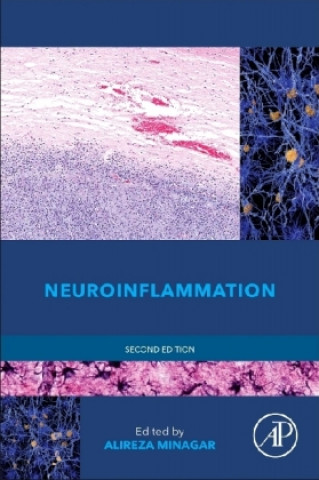 Kniha Neuroinflammation Alireza Minagar