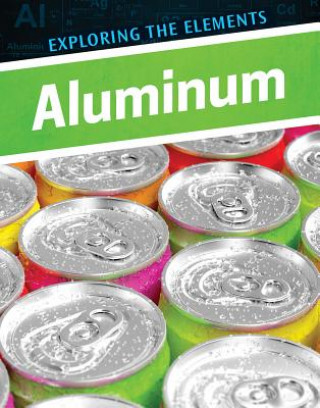 Buch Aluminum Anita Louise McCormick