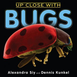 Book Up Close With Bugs Alexandra Siy