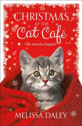 Könyv CHRISTMAS AT THE CAT CAFE Melissa Daley