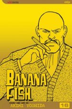 Könyv Banana Fish, Vol. 16 Akimi Yoshida