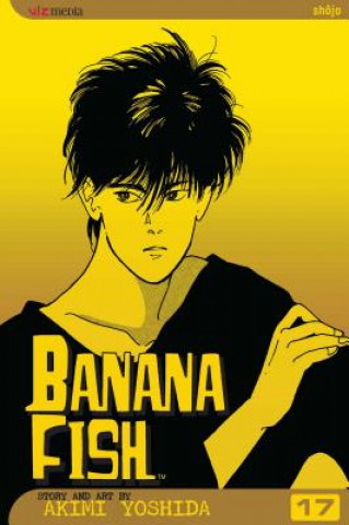 Knjiga Banana Fish, Vol. 17 Akimi Yoshida