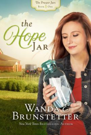 Könyv The Hope Jar Wanda E Brunstetter
