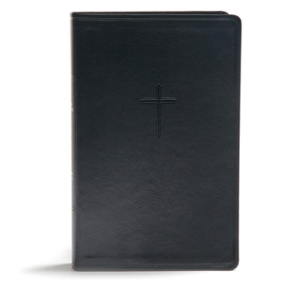 Kniha CSB Everyday Study Bible, Black Leathertouch: Black Letter, Study Notes, Illustrations, Aricles, Easy-To-Carry, Ribbon Marker, Easy-To-Read Bible Seri Csb Bibles by Holman