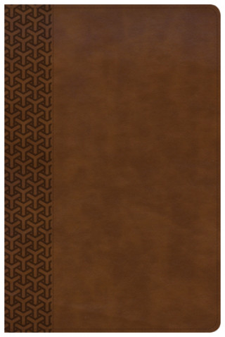 Könyv KJV Everyday Study Bible, British Tan LeatherTouch Csb Bibles by Holman