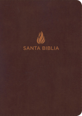 Knjiga NVI Biblia Letra Gigante Marrón, Piel Fabricada B&amp;h Espanol Editorial