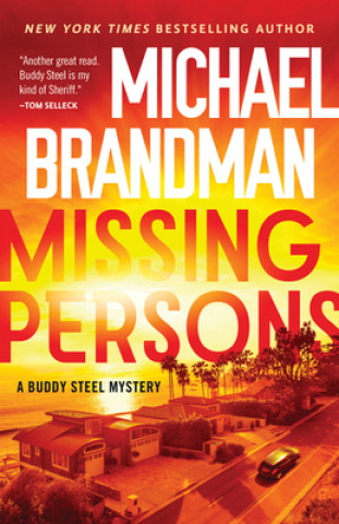 Knjiga Missing Persons Michael Brandman