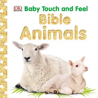 Kniha Baby Touch and Feel: Bible Animals Dk