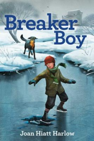 Kniha Breaker Boy Joan Hiatt Harlow