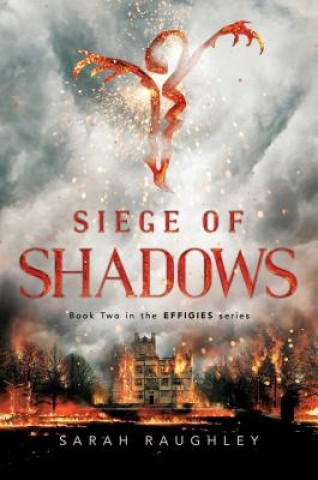 Kniha Siege of Shadows Sarah Raughley