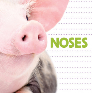 Βιβλίο Noses Flowerpot Press