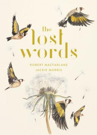 Kniha The Lost Words Robert MacFarlane
