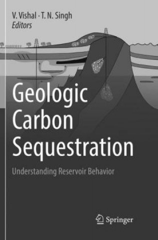 Livro Geologic Carbon Sequestration V. Vishal