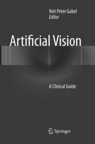 Knjiga Artificial Vision Veit Peter Gabel