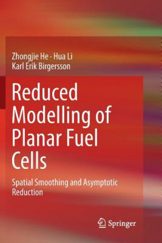Könyv Reduced Modelling of Planar Fuel Cells Zhongjie He