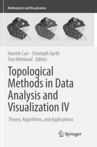 Könyv Topological Methods in Data Analysis and Visualization IV Hamish Carr