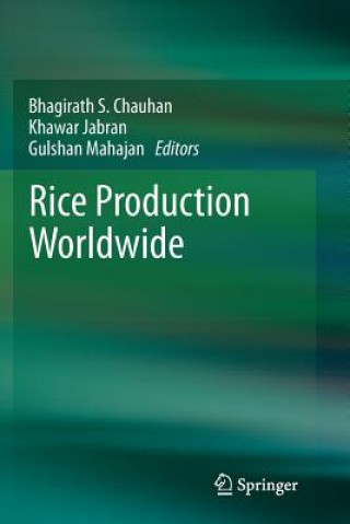 Kniha Rice Production Worldwide Bhagirath S. Chauhan