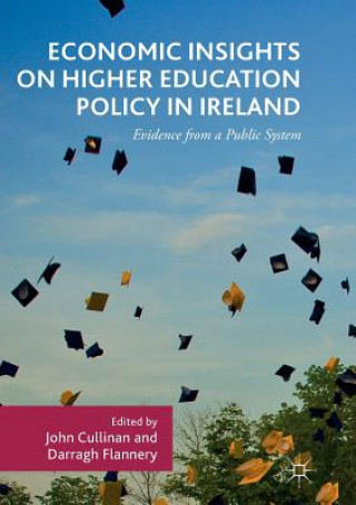 Книга Economic Insights on Higher Education Policy in Ireland John Cullinan