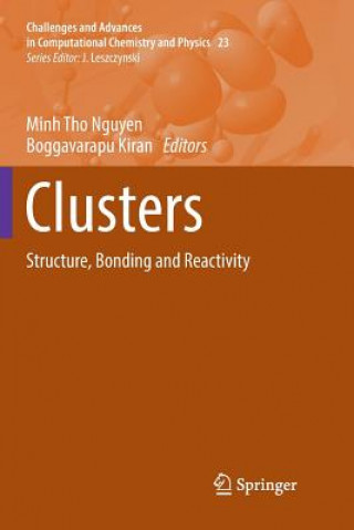 Kniha Clusters Boggavarapu Kiran