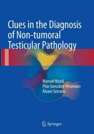 Könyv Clues in the Diagnosis of Non-tumoral Testicular Pathology Manuel Nistal