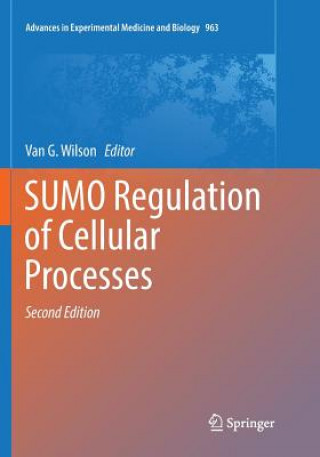 Könyv SUMO Regulation of Cellular Processes Van G. Wilson
